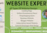expert in design earning shopify design